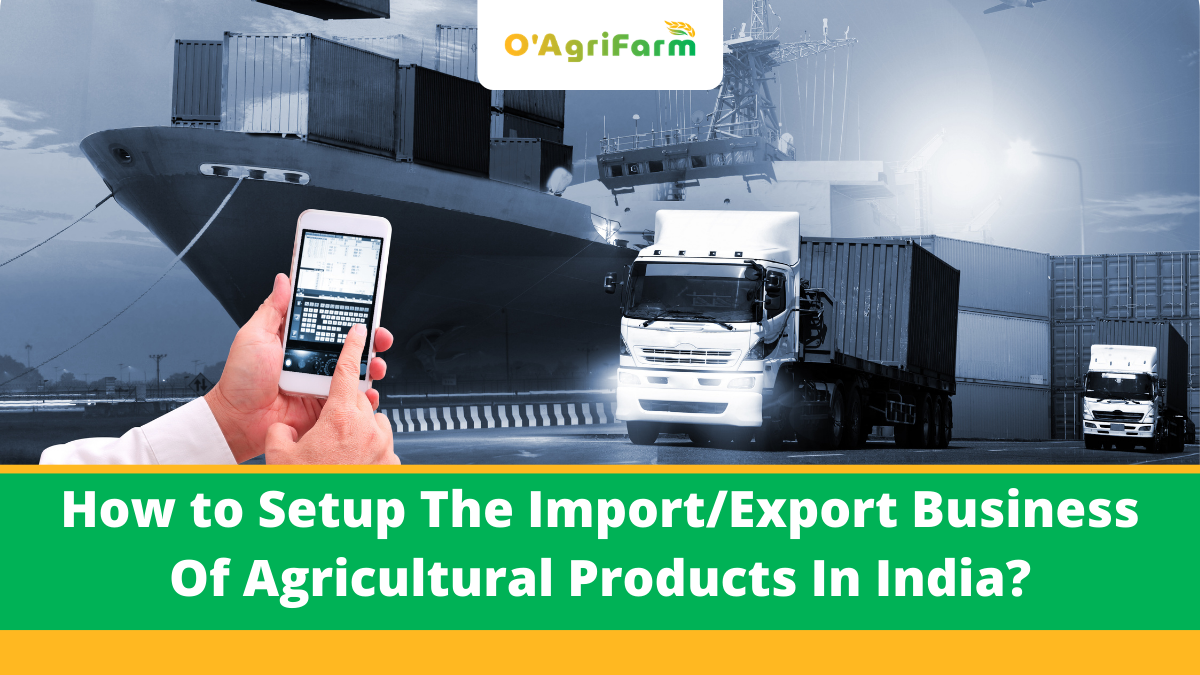 How to Setup The Import/Export Business Of Agricultural Products In India?