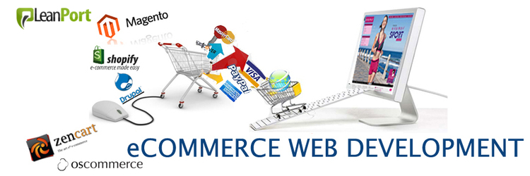 ecommerce website development